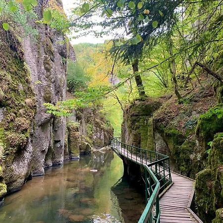 Къща Чолаков И Син - Стаи За Гости เดวิน ภายนอก รูปภาพ